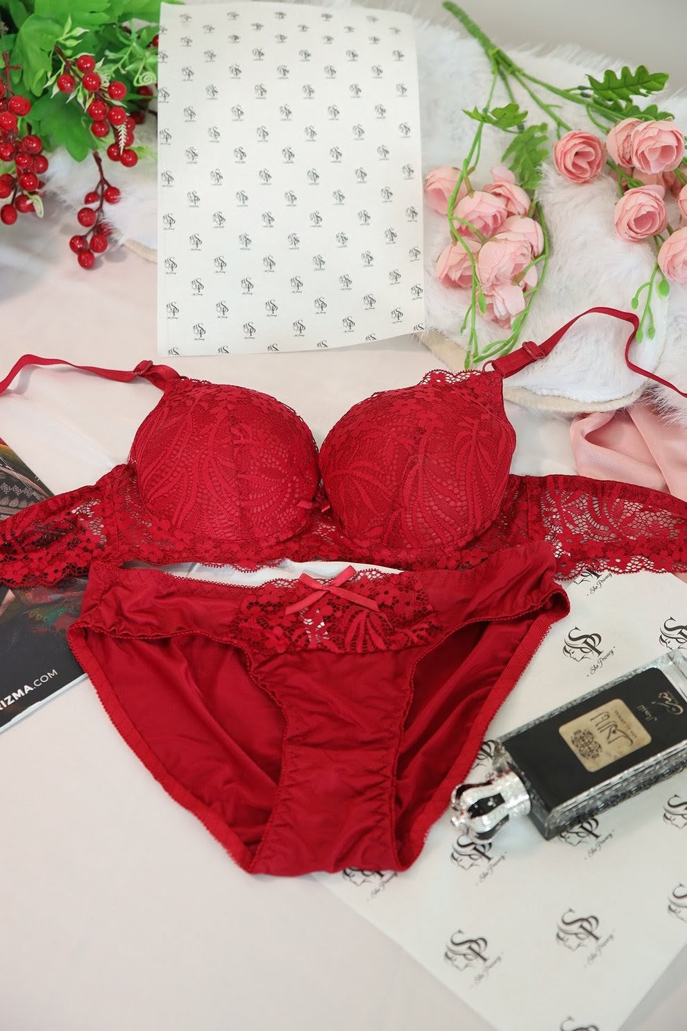Crimson Elegance Lace Bra & Brief Set