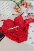 Crimson Elegance Lace Bra & Brief Set